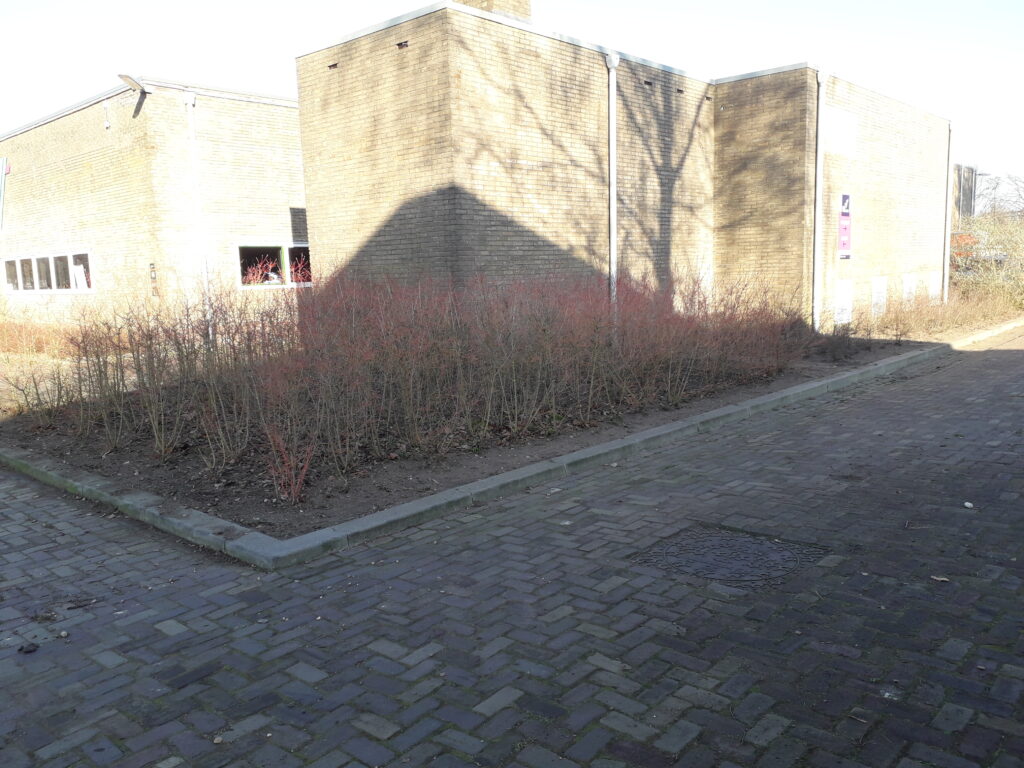 20230214_152126